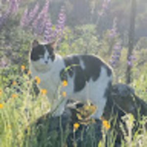 Meet your Posher, Donster